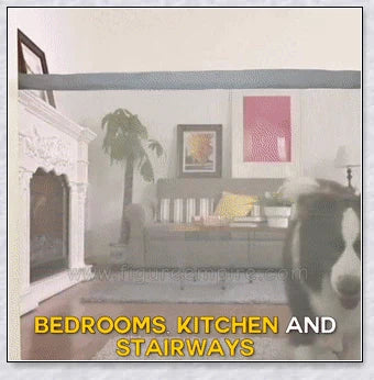 Indoor Retractable Dog Gate Mesh - Adjustable and Durable Gate Protecting Home Safety