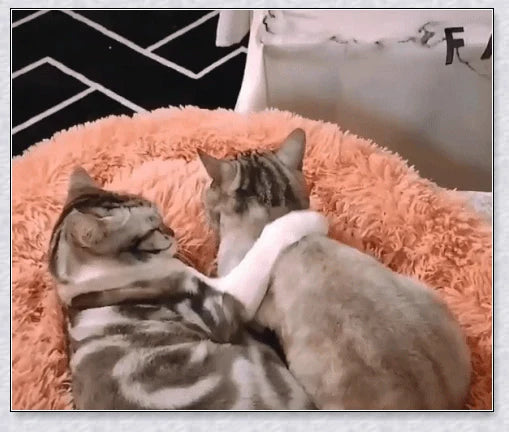 Round and raised cat marshmallow bed in white and grey colours, designed to promote healthy and restful sleep for cats