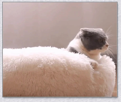 Round and raised cat marshmallow bed in white and grey colours, designed to promote healthy and restful sleep for cats