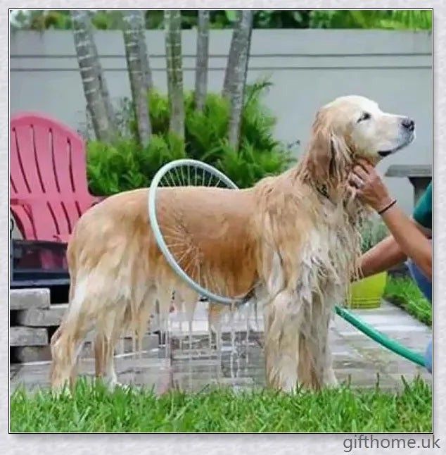 A 360 degree dog shower tool that attaches to a garden hose for easy, hands-free pet bathing