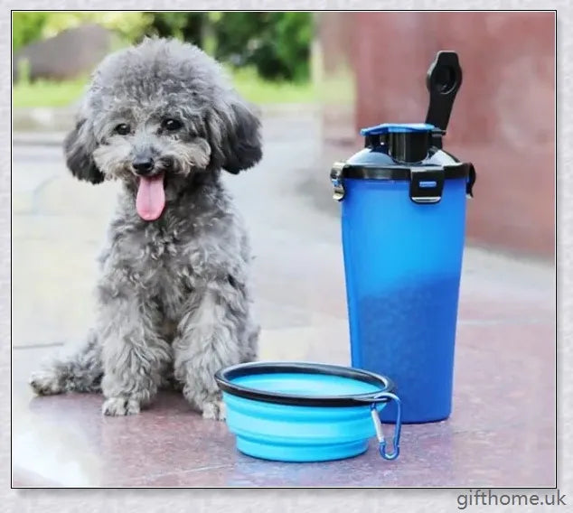 2-in-1 pet water bottle dispenser with collapsible bowls for travelling with dogs and cats