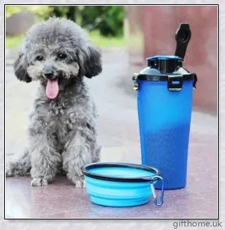 2-in-1 pet water bottle dispenser with collapsible bowls for travelling with dogs and cats