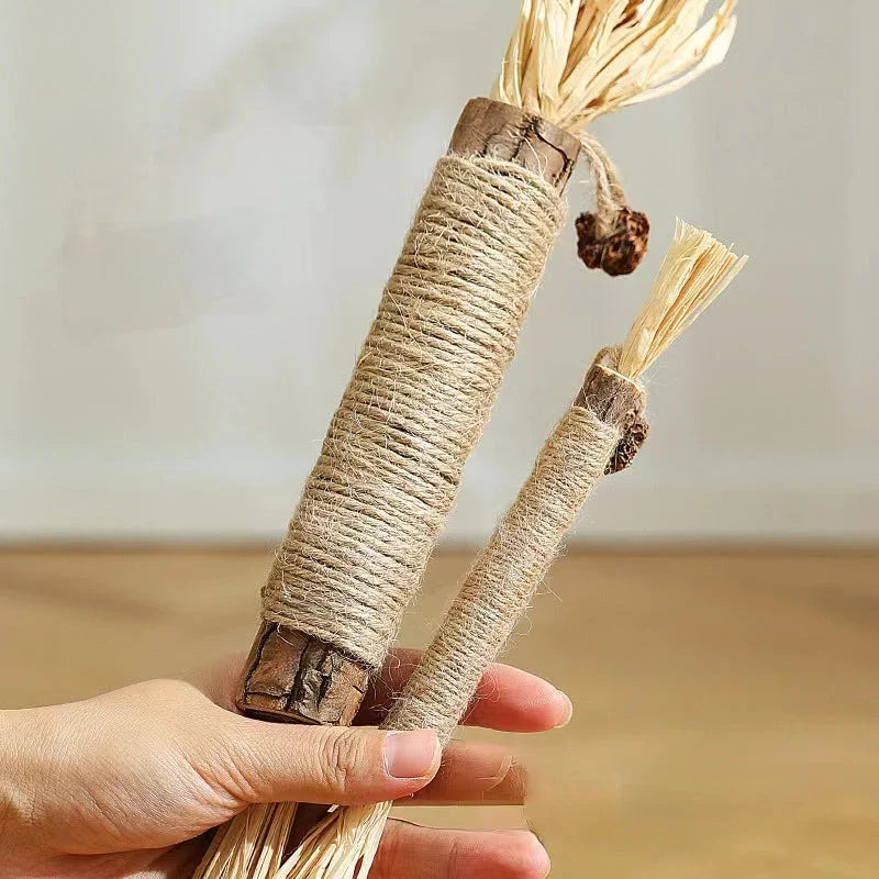 Natural Silvervine Catnip Sticks - Premium cat chew toys that promote play, dental care, and digestive health