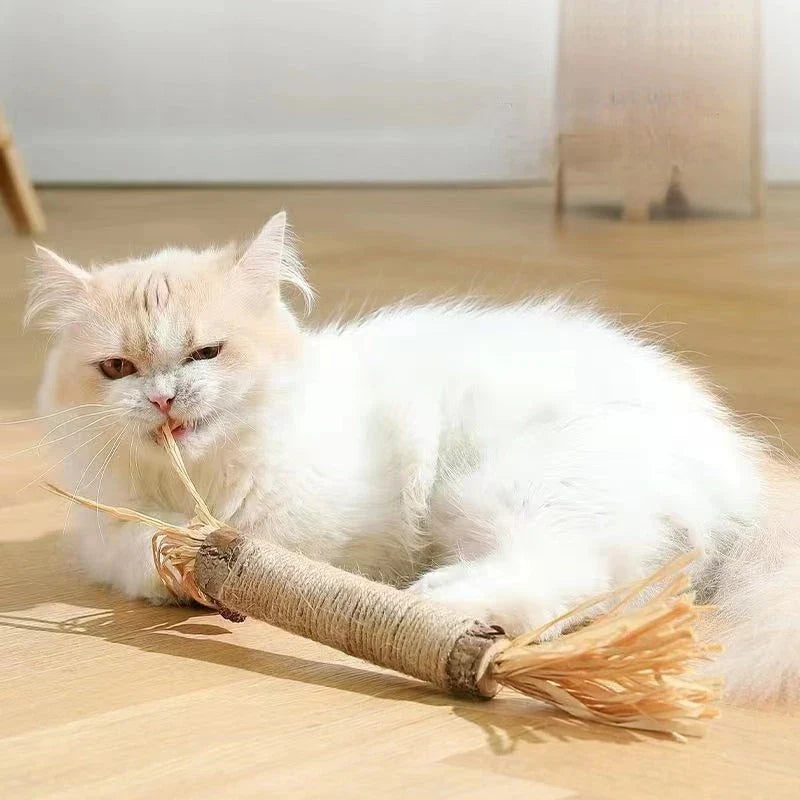Natural Silvervine Catnip Sticks - Premium cat chew toys that promote play, dental care, and digestive health