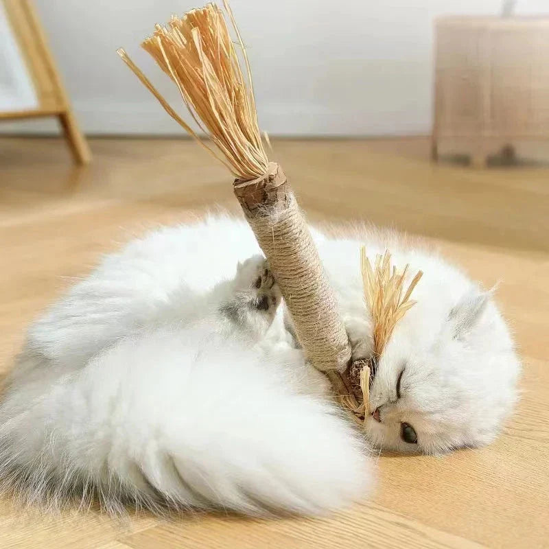 Natural Silvervine Catnip Sticks - Premium cat chew toys that promote play, dental care, and digestive health