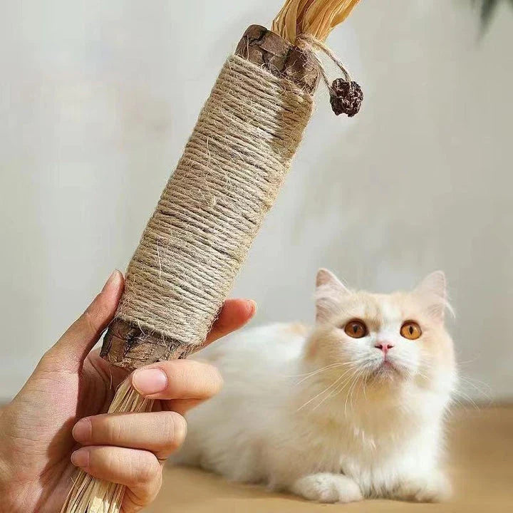 Natural Silvervine Catnip Sticks - Premium cat chew toys that promote play, dental care, and digestive health