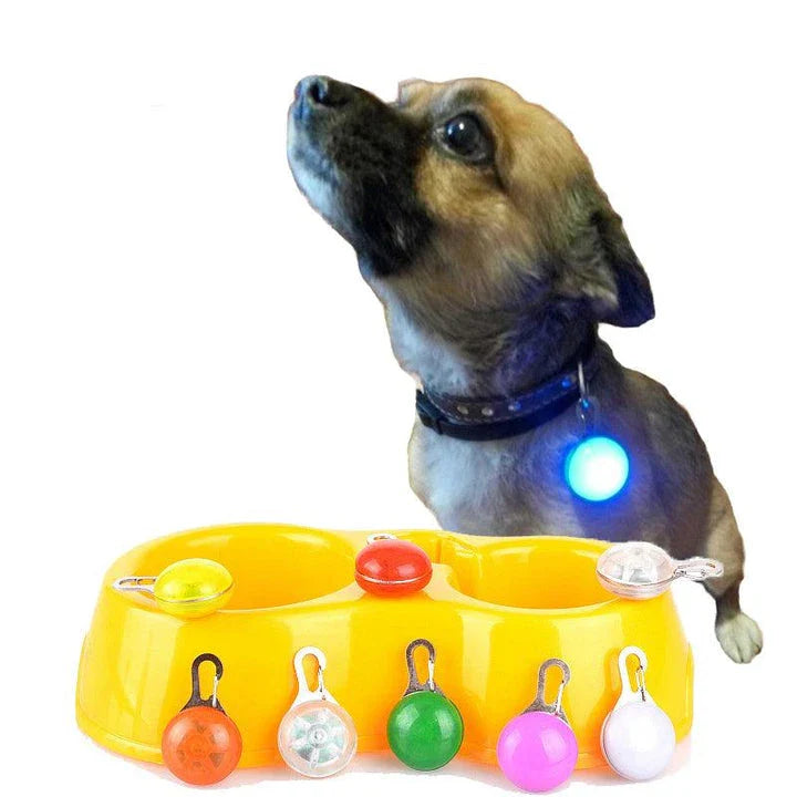 Bright LED flashlight securely attached to a pet's collar, providing visibility and safety during evening walks.