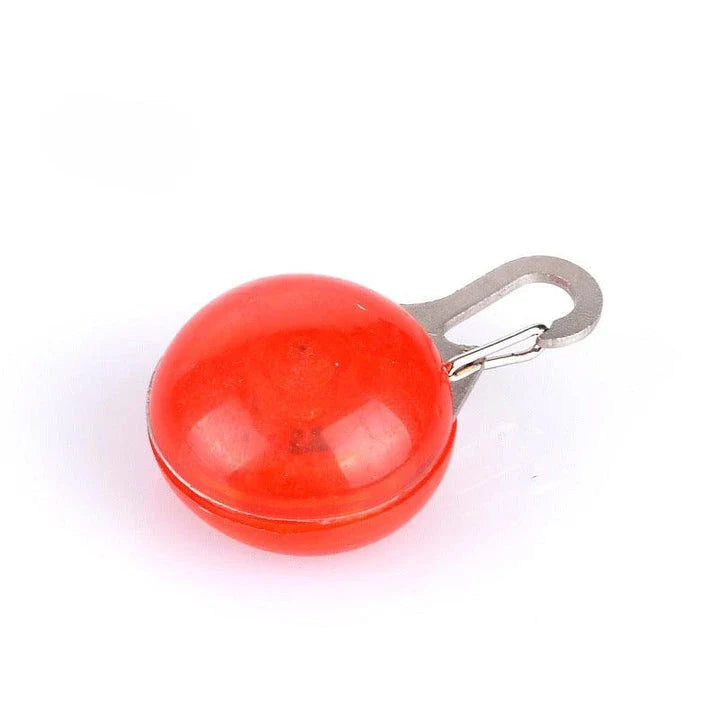 Bright LED flashlight securely attached to a pet's collar, providing visibility and safety during evening walks.