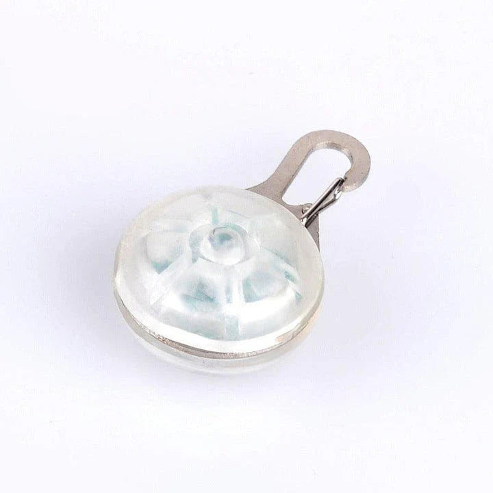 Bright LED flashlight securely attached to a pet's collar, providing visibility and safety during evening walks.