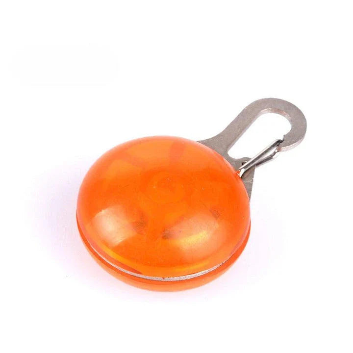 Bright LED flashlight securely attached to a pet's collar, providing visibility and safety during evening walks.