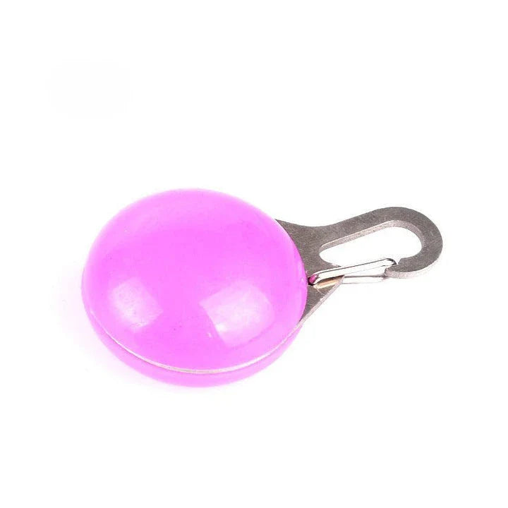 Bright LED flashlight securely attached to a pet's collar, providing visibility and safety during evening walks.