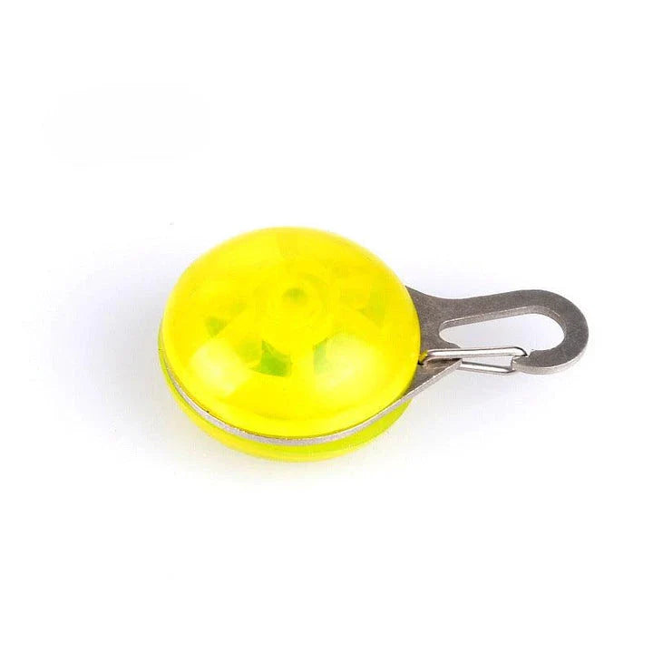 Bright LED flashlight securely attached to a pet's collar, providing visibility and safety during evening walks.