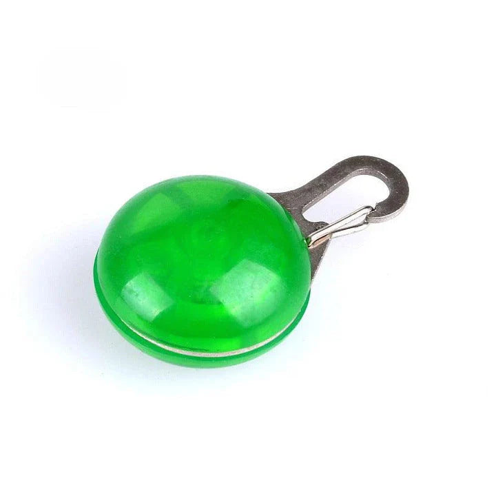 Bright LED flashlight securely attached to a pet's collar, providing visibility and safety during evening walks.