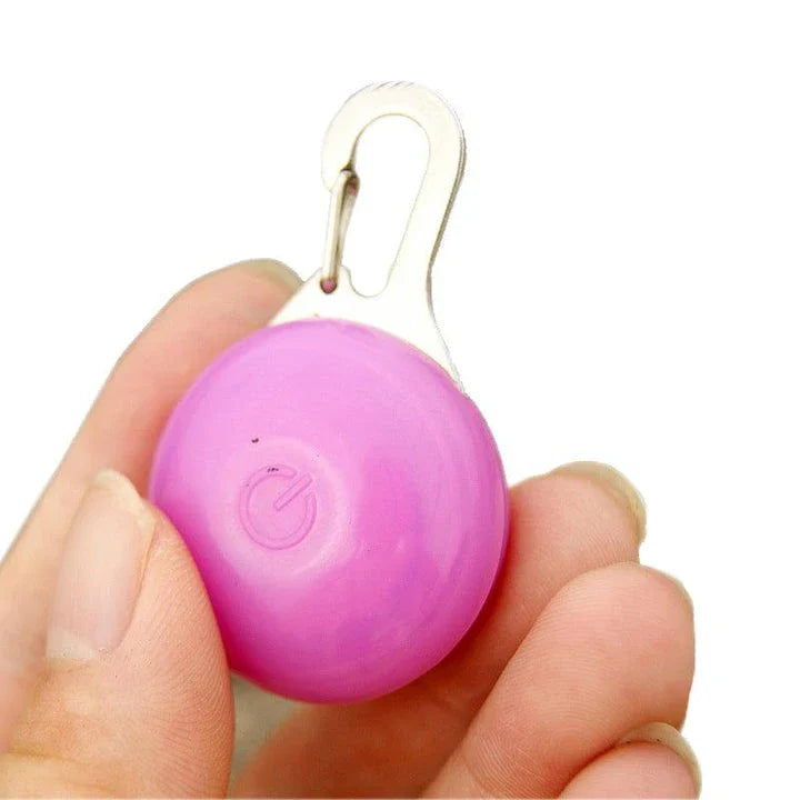 Bright LED flashlight securely attached to a pet's collar, providing visibility and safety during evening walks.