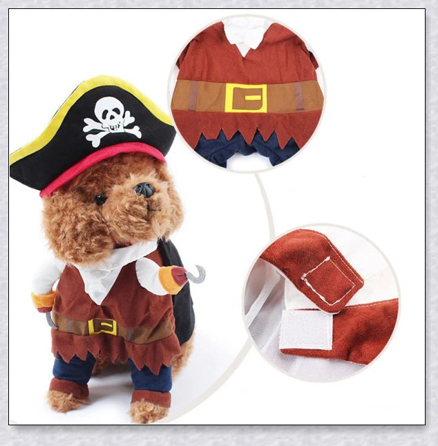 A cat wearing a pirate costume, designed to bring style and comfort to your feline friend during Halloween and other occasions.