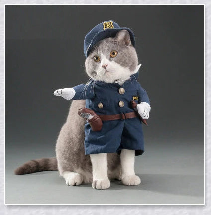 A cat wearing a pirate costume, designed to bring style and comfort to your feline friend during Halloween and other occasions.