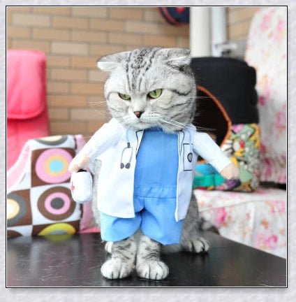 A cat wearing a pirate costume, designed to bring style and comfort to your feline friend during Halloween and other occasions.