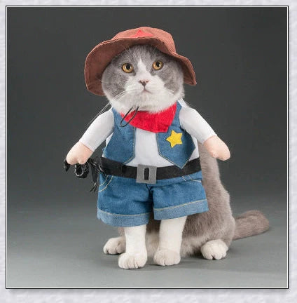 A cat wearing a pirate costume, designed to bring style and comfort to your feline friend during Halloween and other occasions.