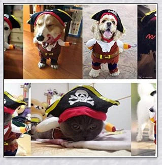 A cat wearing a pirate costume, designed to bring style and comfort to your feline friend during Halloween and other occasions.