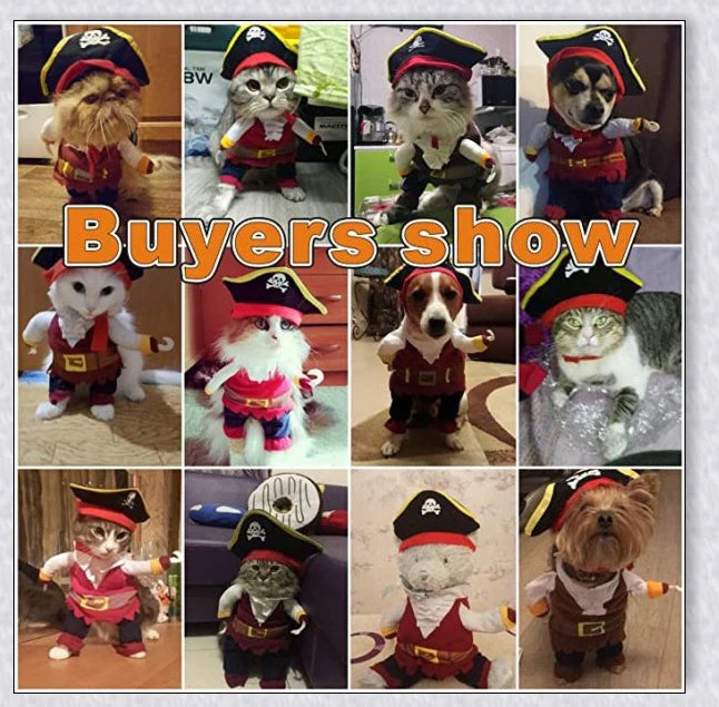 A cat wearing a pirate costume, designed to bring style and comfort to your feline friend during Halloween and other occasions.