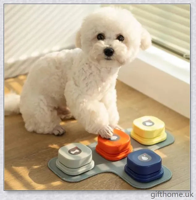 4 Colours Pet Communication Button - One-Click Recordable Dog Talking Button for Improved Pet-Owner Interaction
