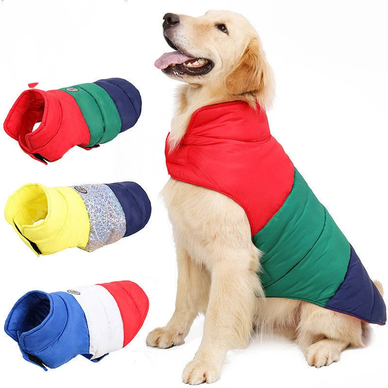Pet Autumn and Winter Thickened Warmth and Water-repellent Down Jacket in green, grey, and white