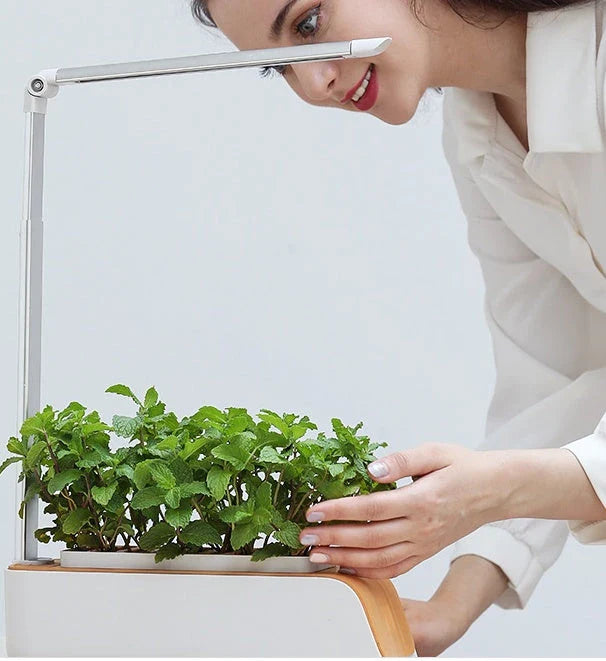 Versatile hydroponic planter with adjustable lighting and self-watering system for growing plants indoors