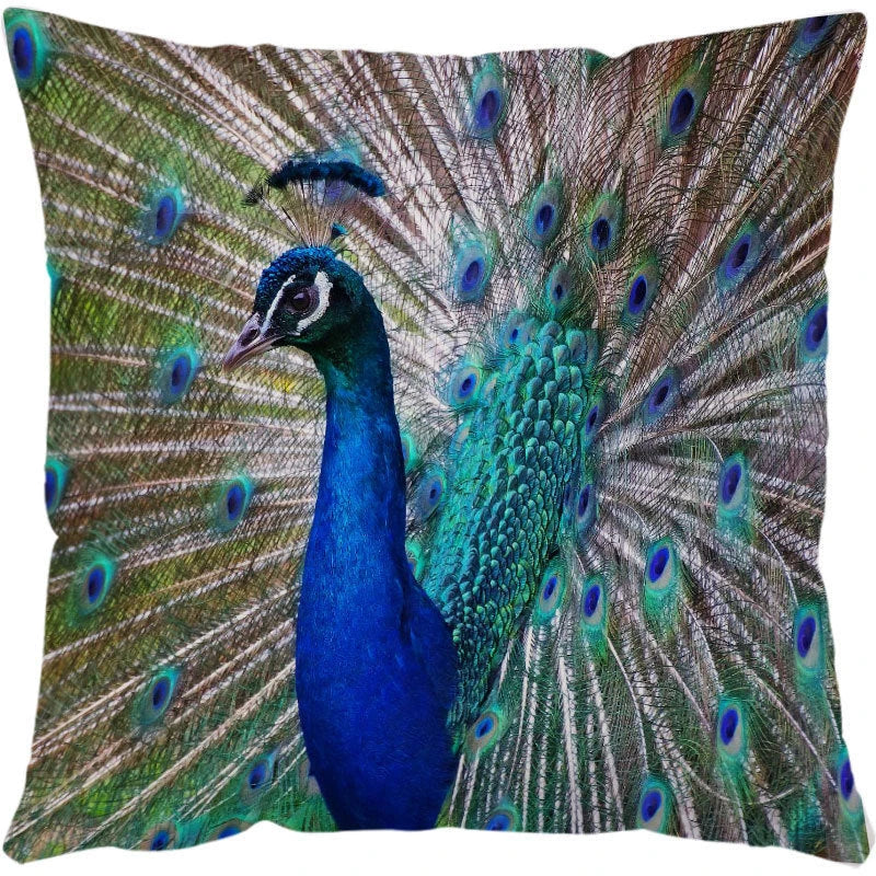 Stylish Sea Life Cushion Covers featuring vibrant marine-inspired designs to enhance British home decor