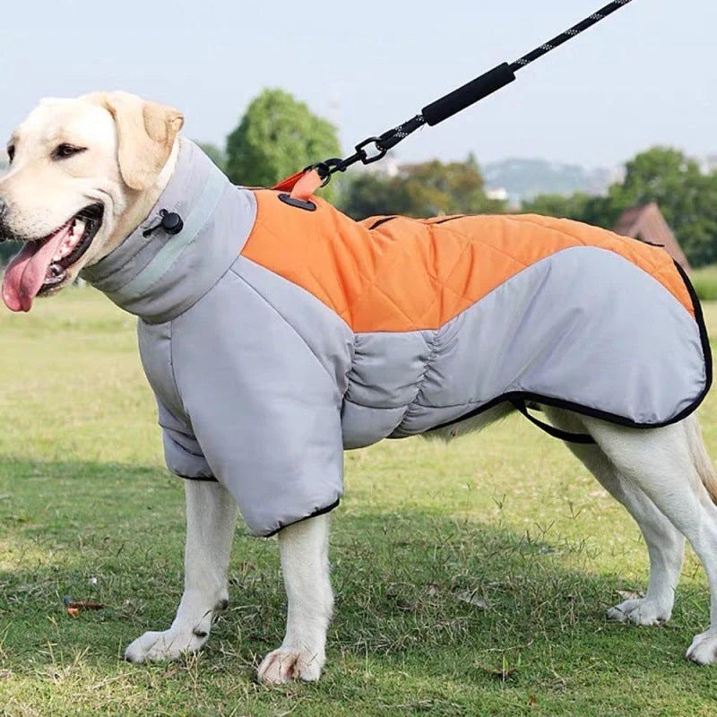 Warm and waterproof dog coat in various colors, designed for medium to large dogs to keep them cozy and protected during the winter.