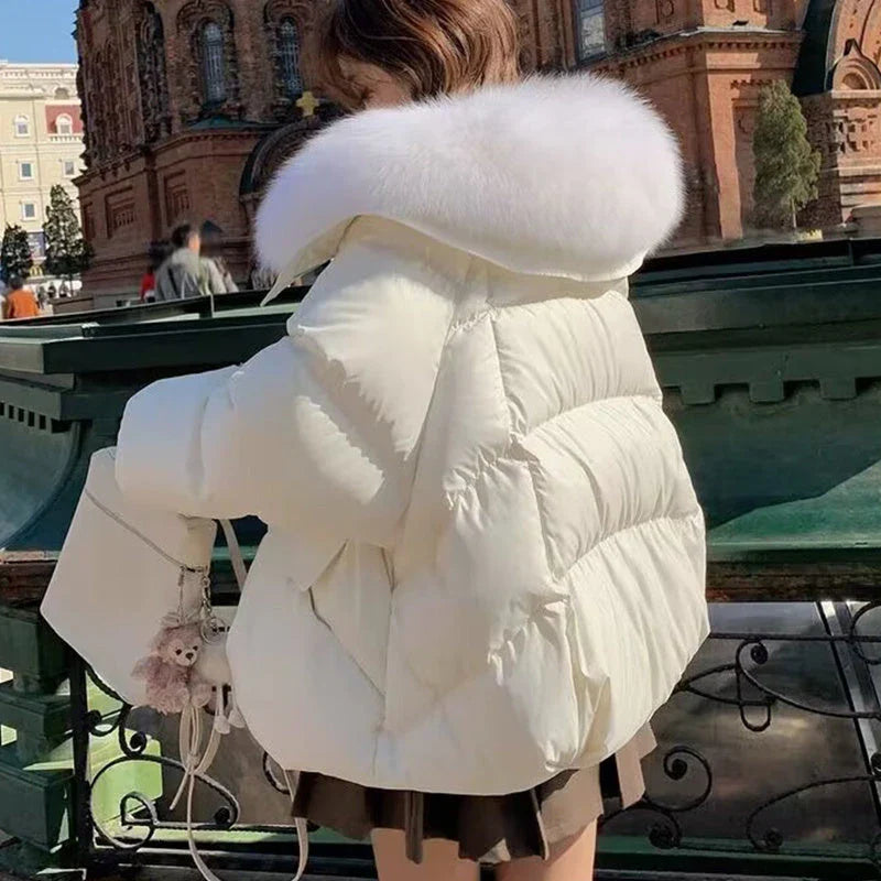 Premium down-filled puffer jacket with faux fur collar, available in brown, black, and white colours
