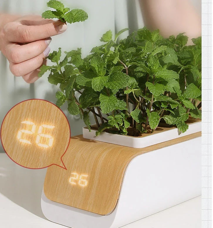 Versatile hydroponic planter with adjustable lighting and self-watering system for growing plants indoors