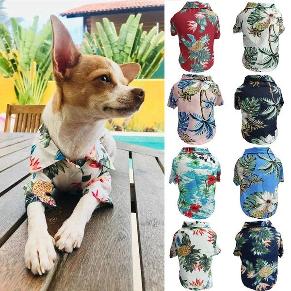 Chic summer dog shirt in vibrant tropical prints, made of breathable chiffon fabric for comfort