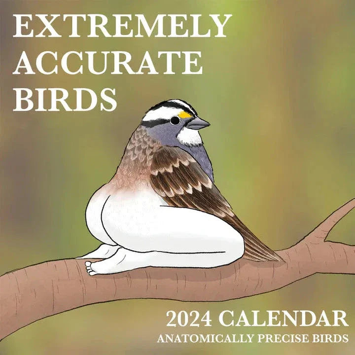 2024 wall calendar with beautiful, realistic illustrations of various bird species