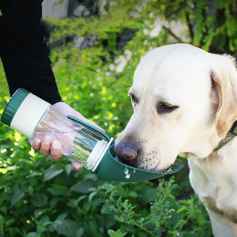 Portable pet water bottle with collapsible silicone bowl, perfect for traveling with dogs and providing hydration and meals on the go