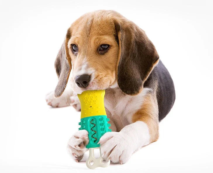 Cooling chew toy in popsicle shape, designed to keep pets refreshed and clean their teeth