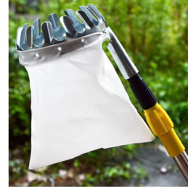 Sturdy, high-reach fruit picking tool with adjustable pole and gentle teeth for effortless, damage-free harvesting