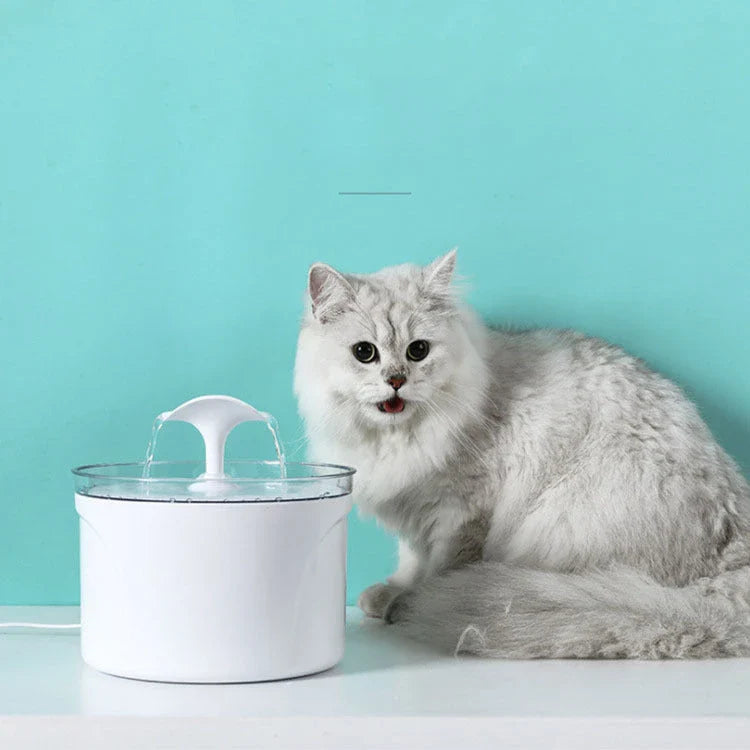 Automatic pet water fountain with stainless steel construction, LED water level display, and multi-layer filtration system
