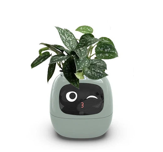 Smart Planter with AI and 7 sensors for easy plant care in various colours