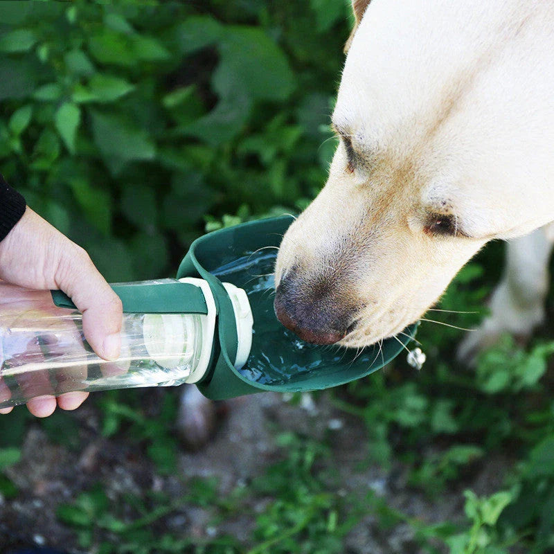 Portable pet water bottle with collapsible silicone bowl, perfect for traveling with dogs and providing hydration and meals on the go