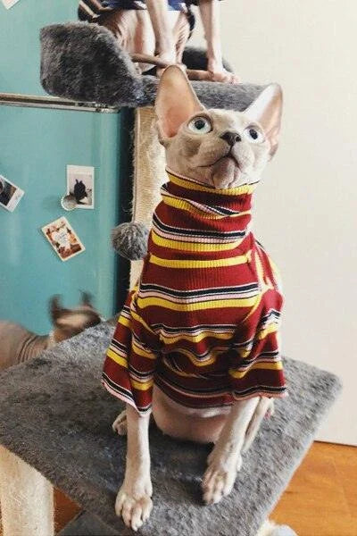 A stylish cotton sweater with a vibrant printed design and a coordinating necklace accessory, perfect for keeping your cat warm and fashionable.