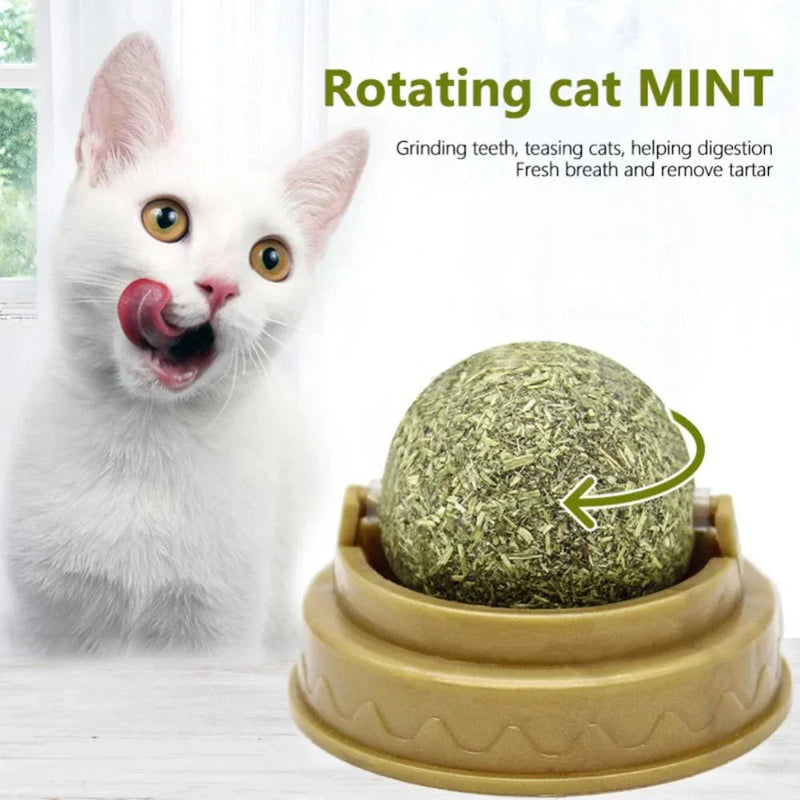 GiftHome UK Dental Health Catnip Balls: Freshen Breath & Strengthen Teeth