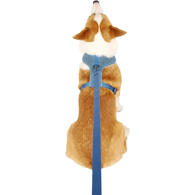 Adjustable breathable fleece dog harness and leash set in various sizes and colours