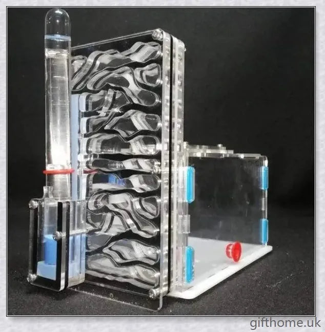 Ant Farm Nest: a captivating DIY project that allows you to observe ants constructing their intricate tunnels and nurturing their young