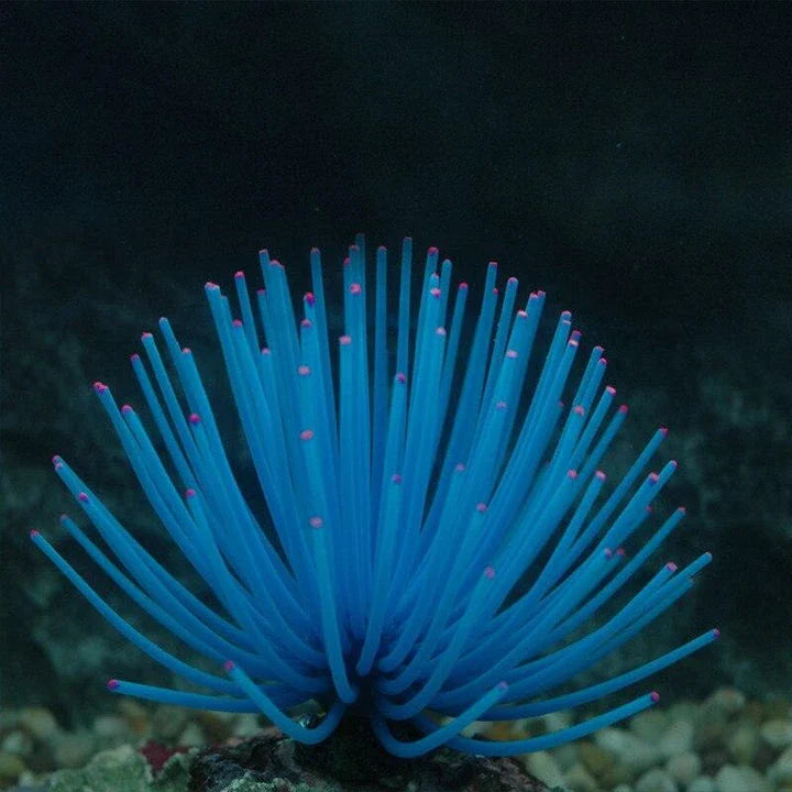 Premium silicone artificial aquatic life decorations in an aquarium, creating a mesmerizing underwater scene