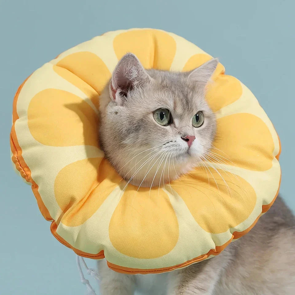 A vibrant orange fruit-shaped recovery collar for cats, designed to protect and comfort your pet during their healing process.