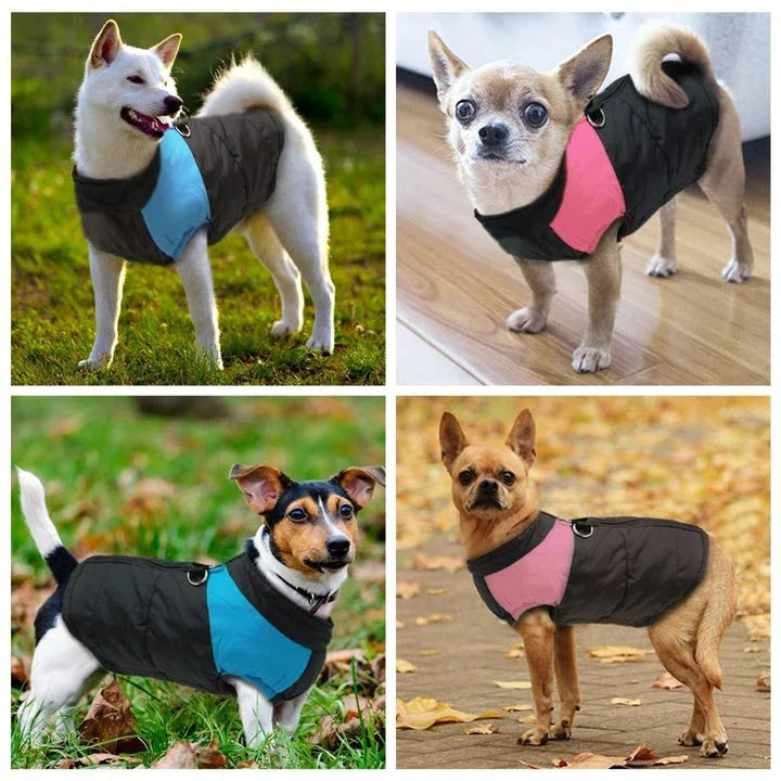 Premium waterproof dog vest with zippered closure, designed to keep your canine companion warm and dry during British autumn and winter adventures.