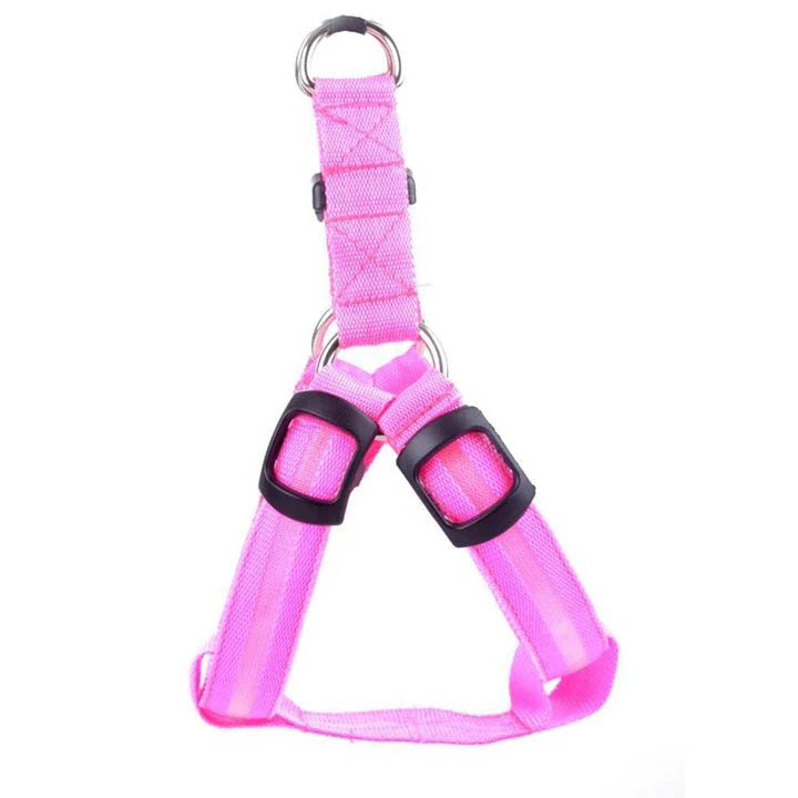 Luminous dog harness with orange colour and adjustable size options for dogs