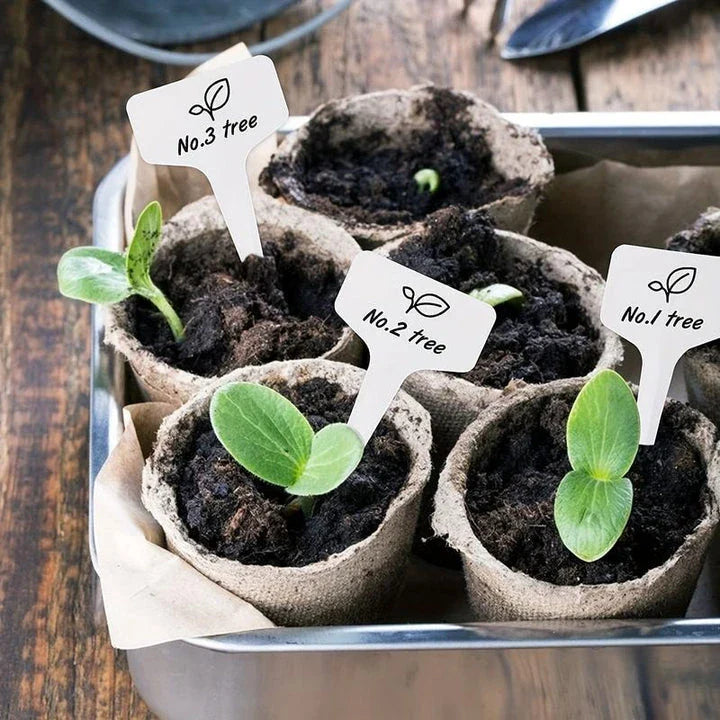 A set of 50 biodegradable paper nursery pots and plant labels for sustainable gardening