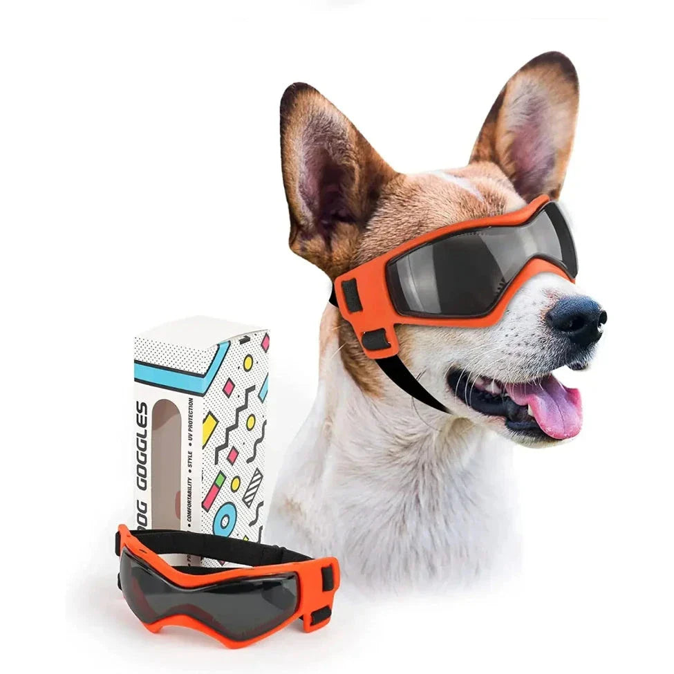 Small orange dog goggles with adjustable elastic straps and UV-blocking polycarbonate lenses