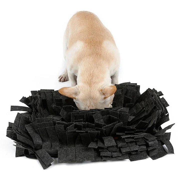 A premium dog sniffing mat made with durable fibres to stimulate your pup's natural foraging instincts and provide mental enrichment.